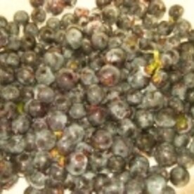 お漬物用に 山葡萄の下ごしらえ 冷凍保存法 レシピ 作り方 By ブルーボリジ 楽天レシピ お漬物用に 山葡萄の下ごしらえ 冷凍保存法 レシピ 作り方 By ブルーボリジ 楽天レシピ